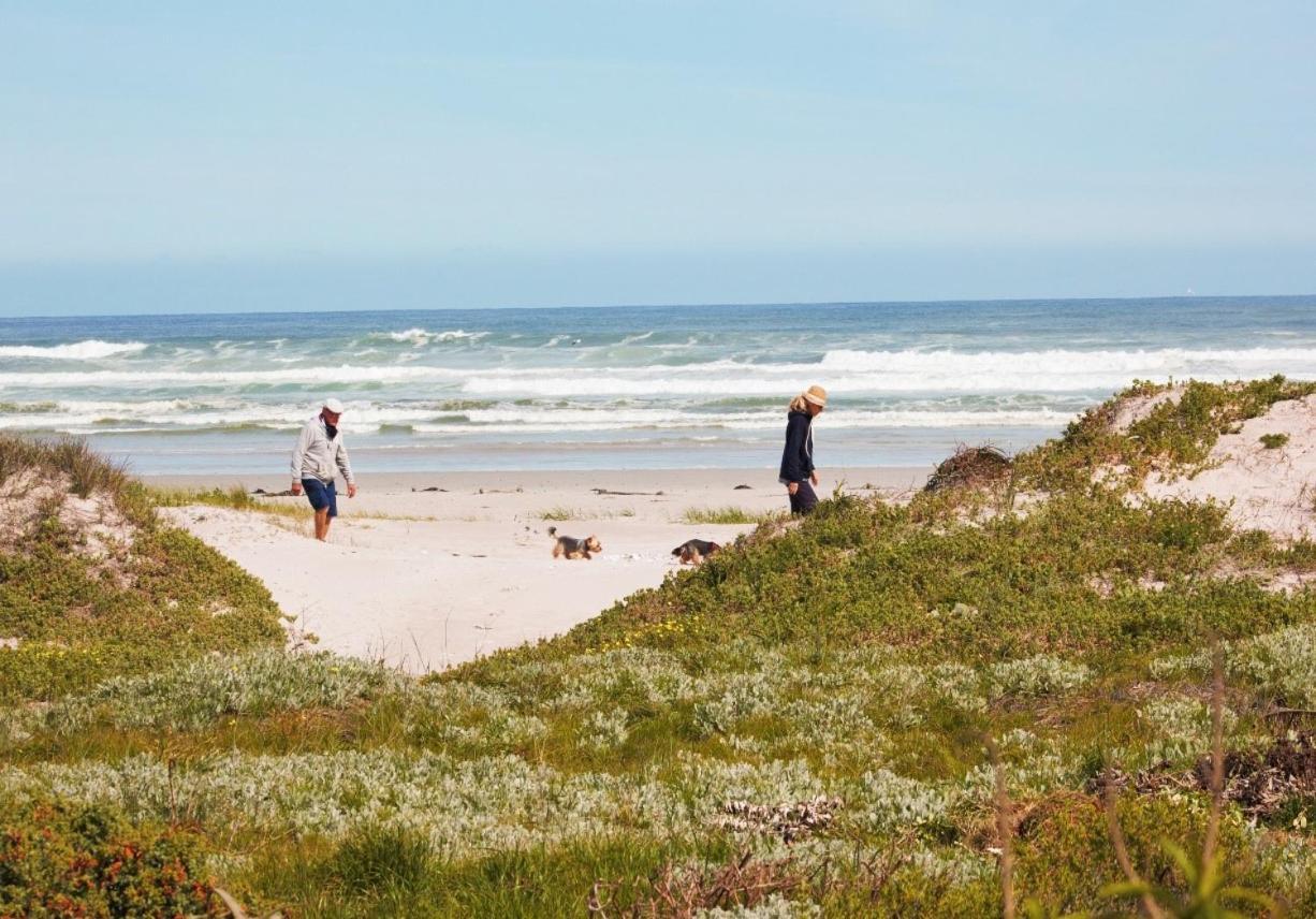 14 Penguin Place, Melkbosstrand Eksteriør bilde